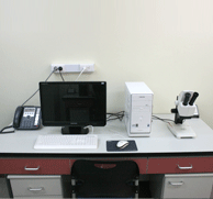 실물영상현미경(Stereo microscope) 사진